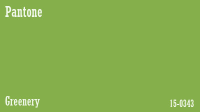 Color Of The Year