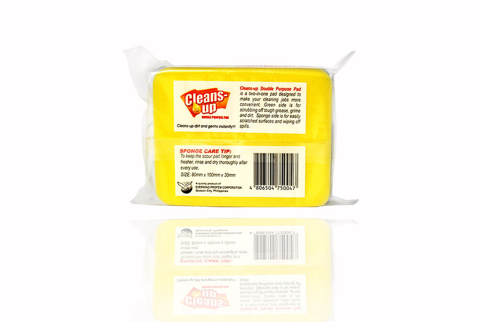 Thumbnail: Cleans-Up: Double Purpose Pad