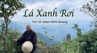 LA XANH ROI.jpg