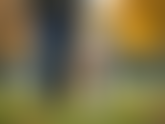 Choosing the Right Dog Walking Service in Perth