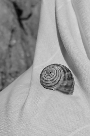Ein Schwarz-Weiß-Foto einer Schnecke, die auf einem Handtuch liegt