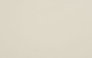 Bone White -1.jpg