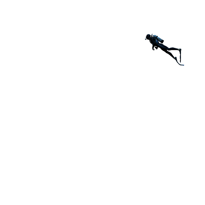 Scuba_loop2.gif