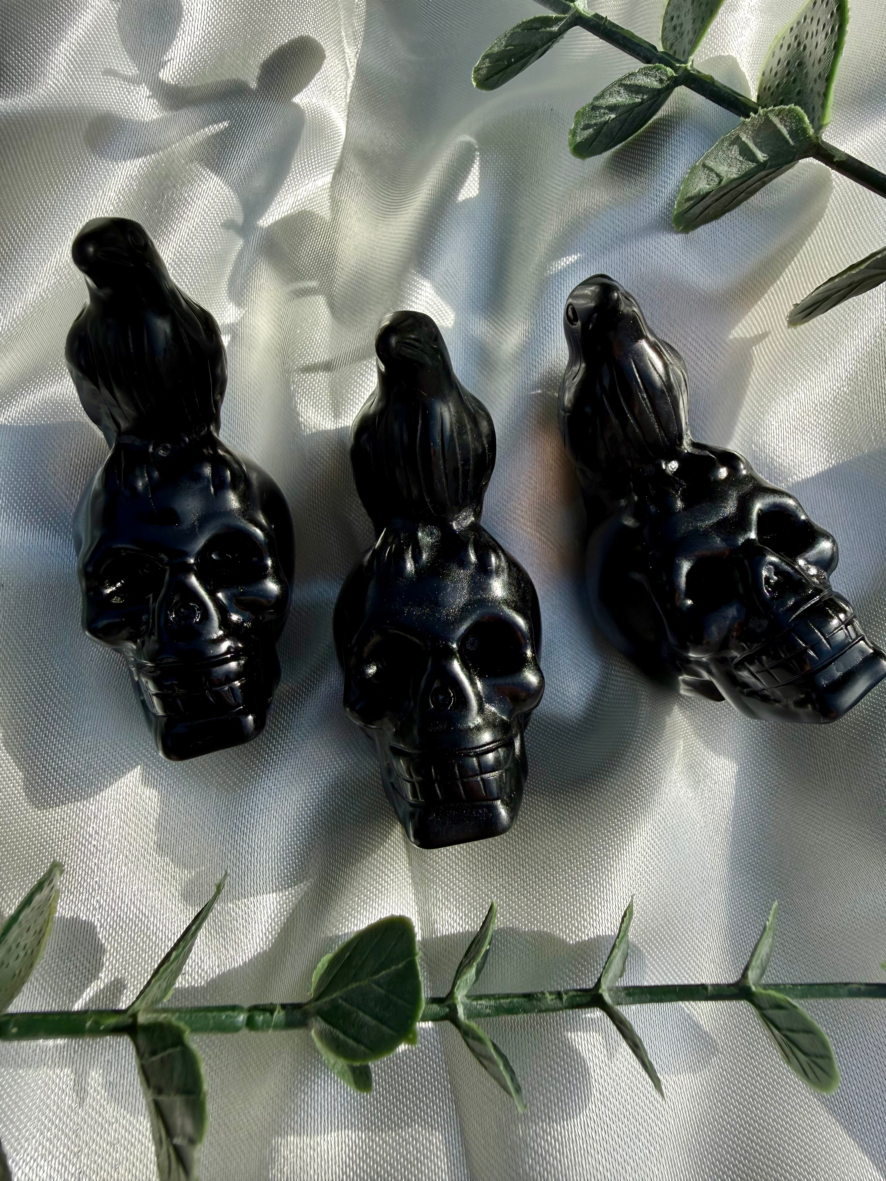 Obsidian Skull with Raven