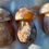 Thumbnail: Flower Agate Mushroom