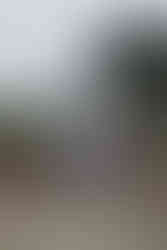 Familieportret Photosbyjaim