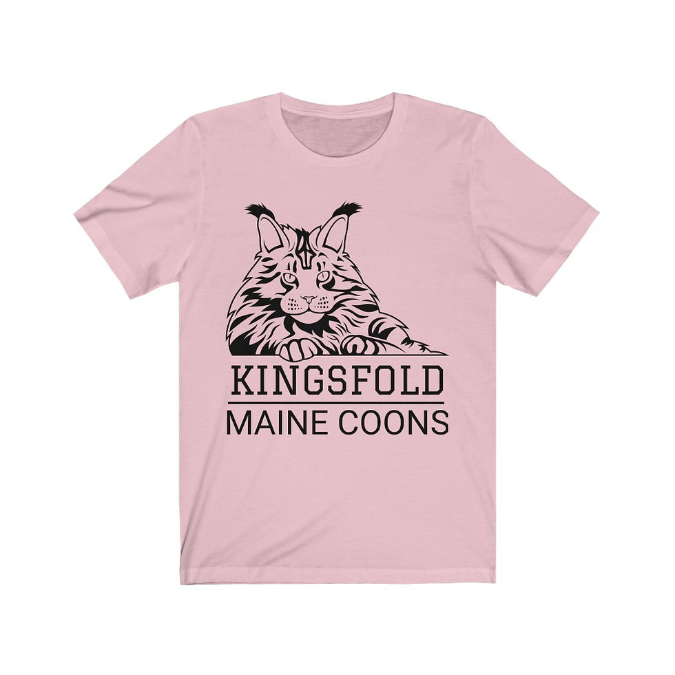 Thumbnail: Unisex Jersey Short Sleeve Tee  - FREE SHIPPING!
