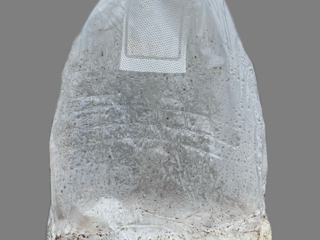 Method 1: Grow kit Instructions