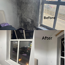 Before And after_20250125_101903_0000.png