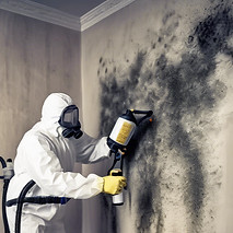 make an image of a bio hazard technician with a pump sprayer spraying the wall that covere
