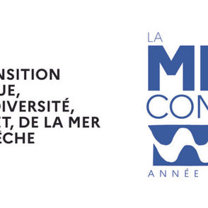 Le label "La Mer en commun" - Année de la Mer décerné à Holena.