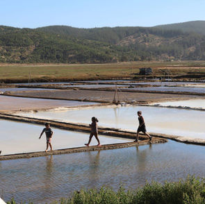 Regeneración Biocultural de Las Salinas marinas artesanales como Centros Patrimoniales Públicos en Cahuil y Boyeruca.