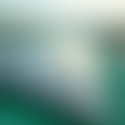 Building Sustainable Development Projects