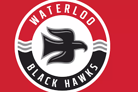 Waterloo Black Hawks.png