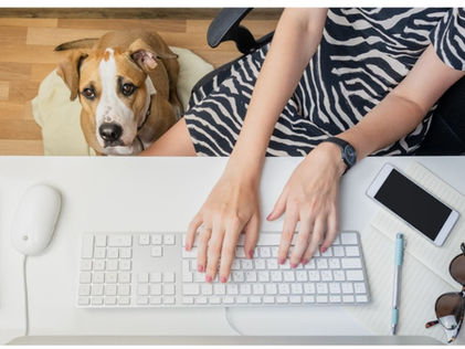 Employee Pet Benefits: The Latest Workplace Trend