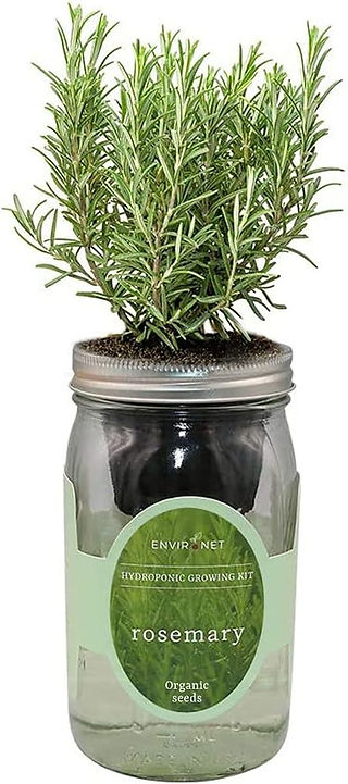 Hydroponic Growing Kit, $20.49