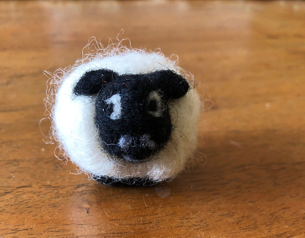 Beginner Online Felting Workshop