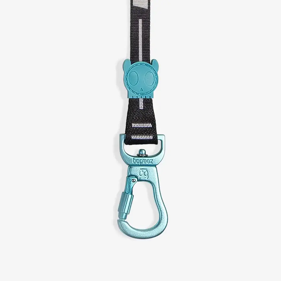 Thumbnail: "Zee.Dog Primo Long Leash – Extra-long, lightweight, and comfortable grip for control and freedom."