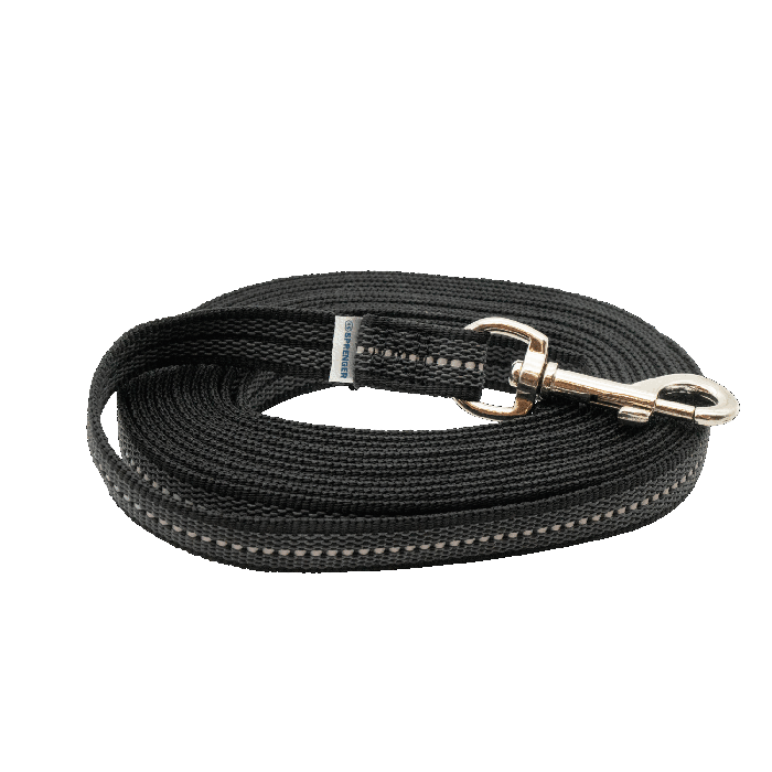 training leash