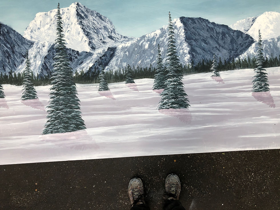 Gorge and Snowy Mountains Mural