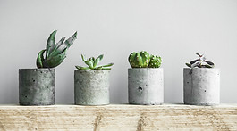 Planters