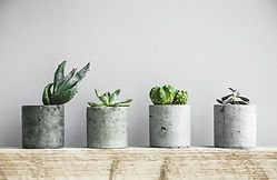 Planters