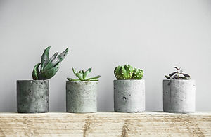 Planters