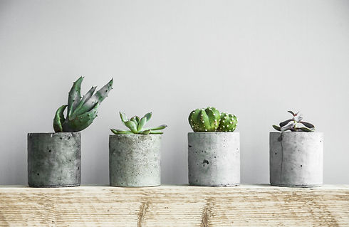 Planters