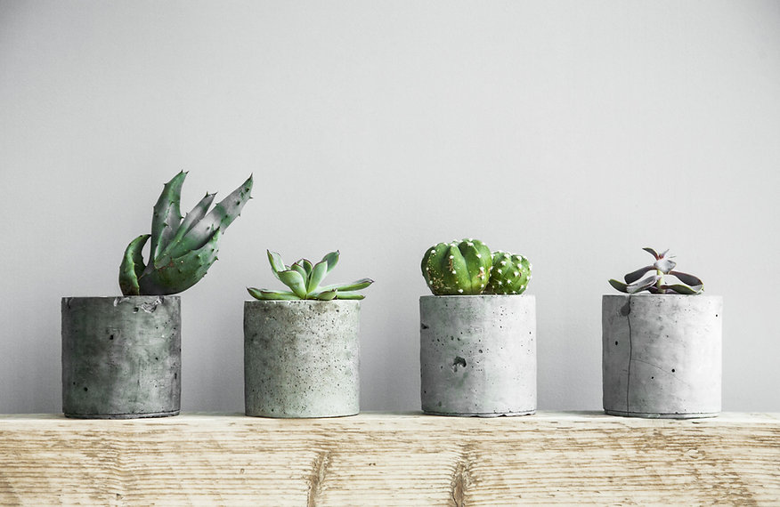 Planters