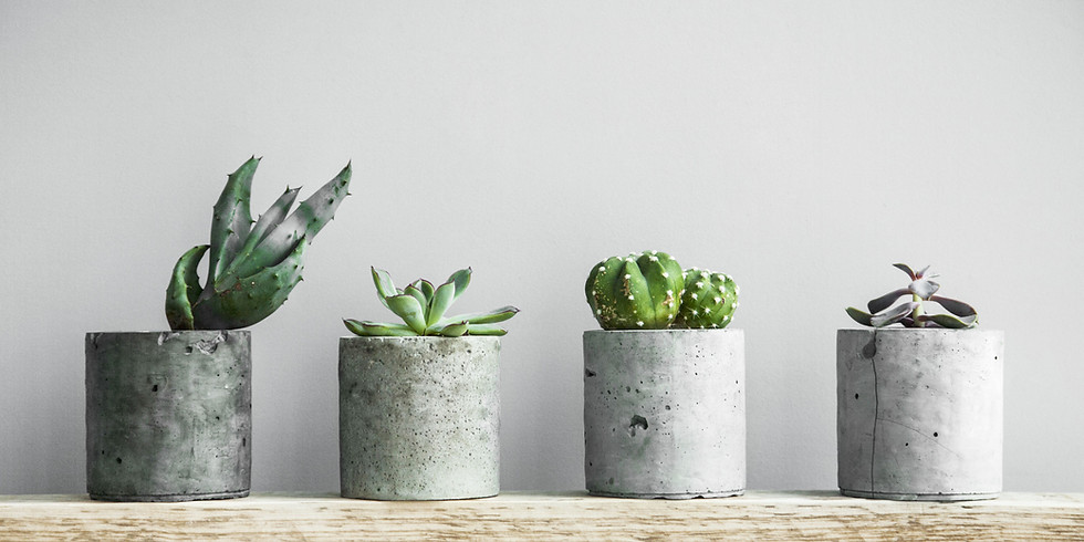 Atelier AIM - B/D : Oh, mon plus beau cache-pot !