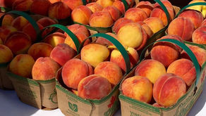 Just Peachy
