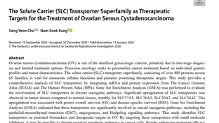 The Solute Carrier (SLC) Transporter Superfamily as Therapeutic Targets for the Treatment of Ovarian Serous Cystadenocarcinoma