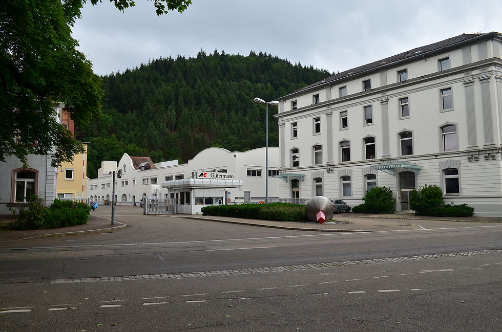 Waldkirch