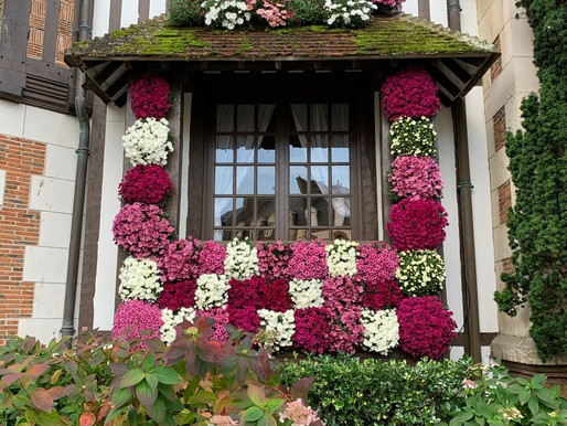 La Mairie de Deauville en mode Novembre