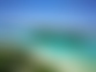 石垣島でダイビング