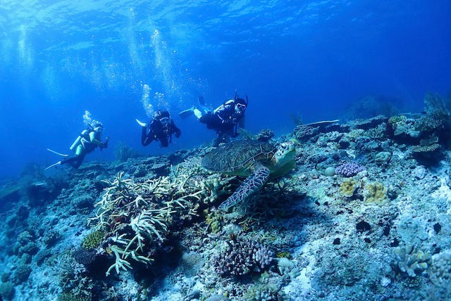 2026年新歓情報！