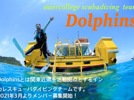 2021年3月よりメンバー募集開始