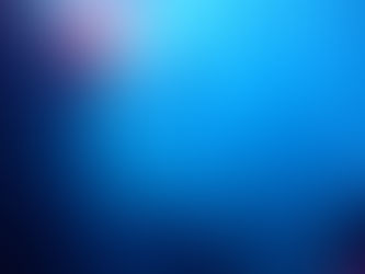 熱海沈船ダイビング