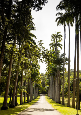 Path, View 1