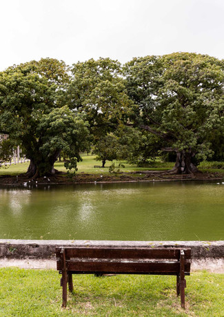 Park and Lake.jpeg