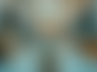 Trusted Catteries in Hawkes Ba for Your Cat