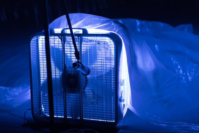 Jenny Stulberg performs in "View from Outside the Cube" by Xandra Ibarra. Photo by Margo Moritz.