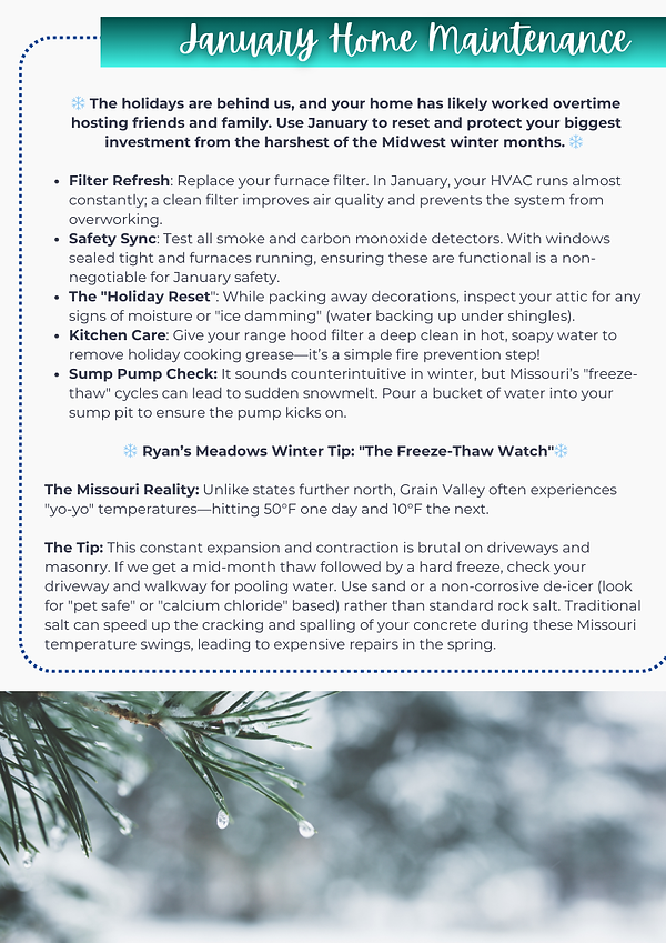 Ryan Meadows Newsletter 2.png