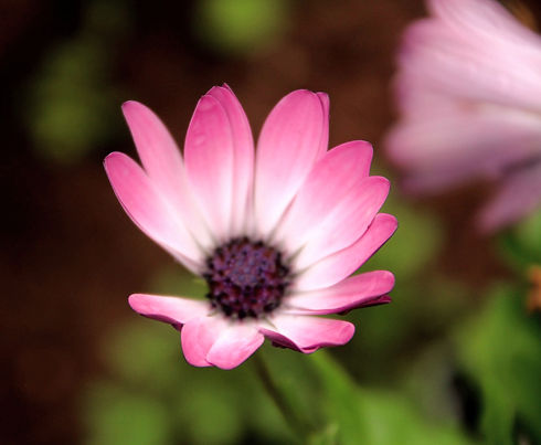 IMG_7826_edited.jpg