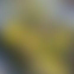 Fascinating Utricularia Traps