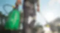 EzySpray-green-gold-main_2048x.jpg.webp
