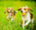 istockphoto-506914639-612x612_edited.jpg