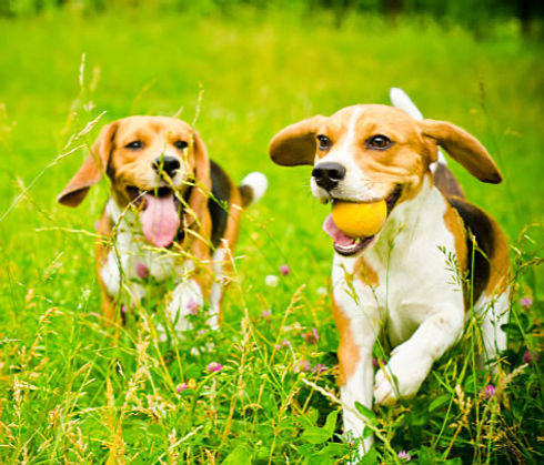 istockphoto-506914639-612x612_edited.jpg