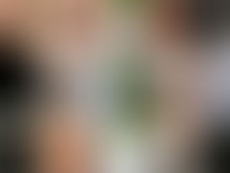 First tattoo being applied by a professional tattoo artist at Sally Mustang Tattoos