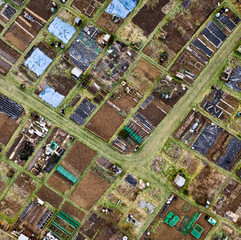 Bengeo_Allotments.jpeg